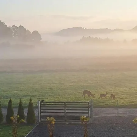 Pod Sosnowa Gora 2 * Zelazno (Klodzko)