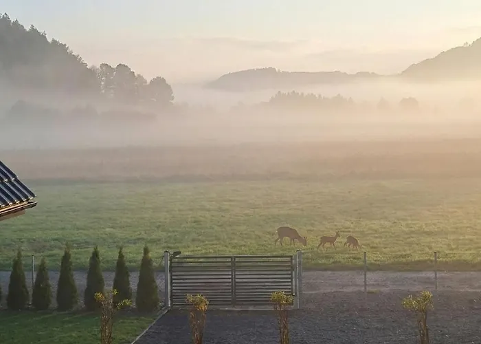 Pod Sosnowa Gora 2 * Zelazno (Klodzko)